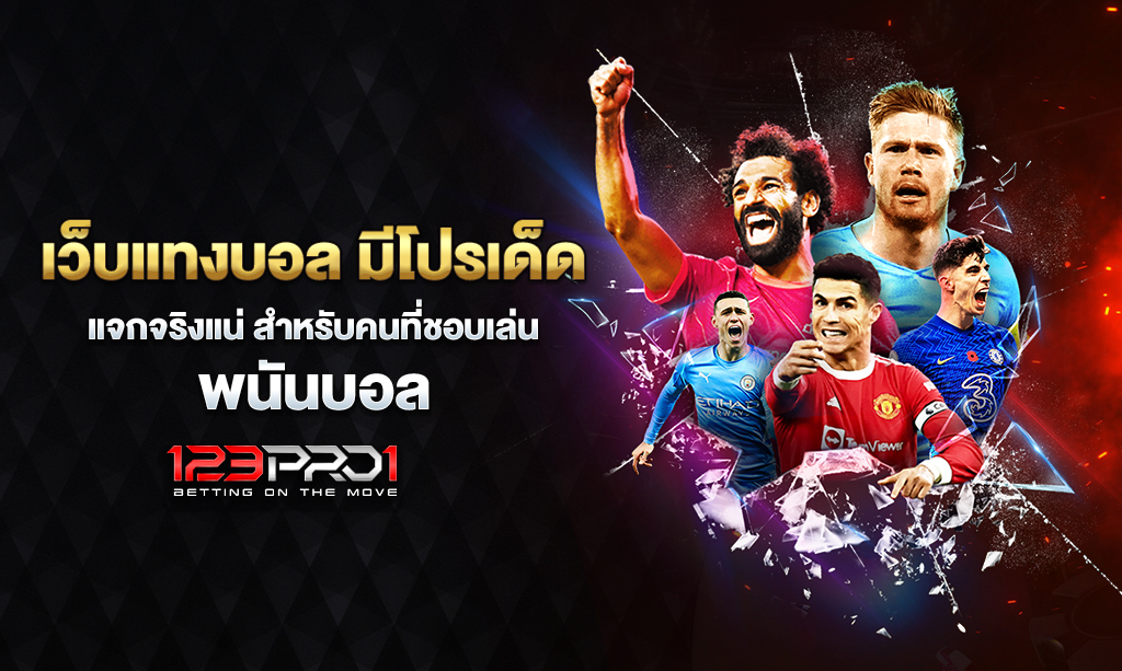 เว็บแทงบอล