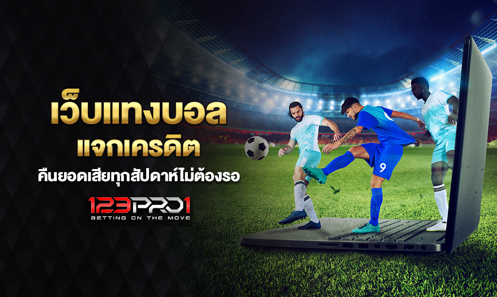 เว็บแทงบอล