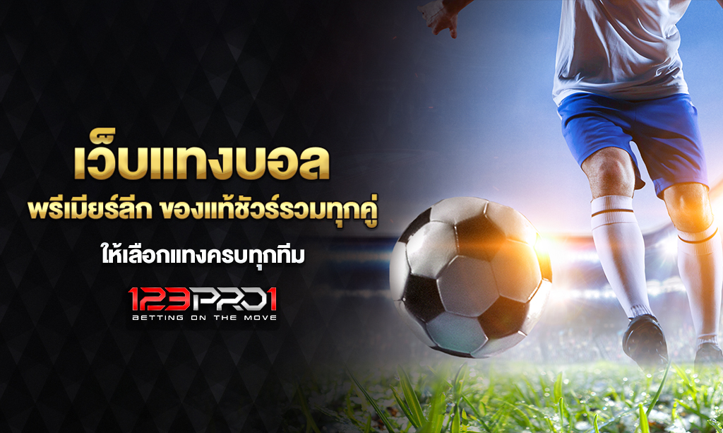 เว็บแทงบอล